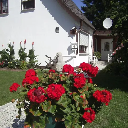 Kleine Mit Garten Und Terrasse Apartment